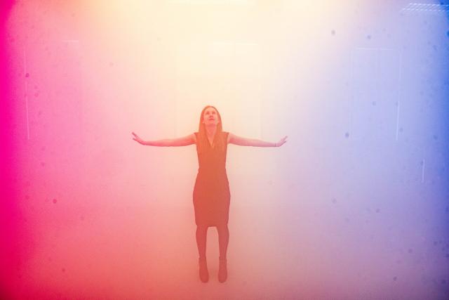 Ann Veronica Janssens